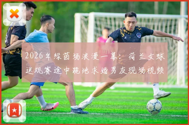 2026年绿茵场浪漫一幕：荷兰女球迷观赛途中跪地求婚男友现场视频与背后故事全回顾