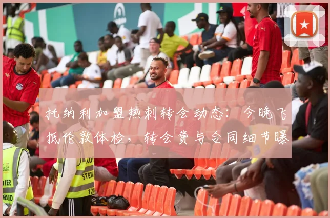 托纳利加盟热刺转会动态：今晚飞抵伦敦体检，转会费与合同细节曝光，能否赶上季前赛成焦点